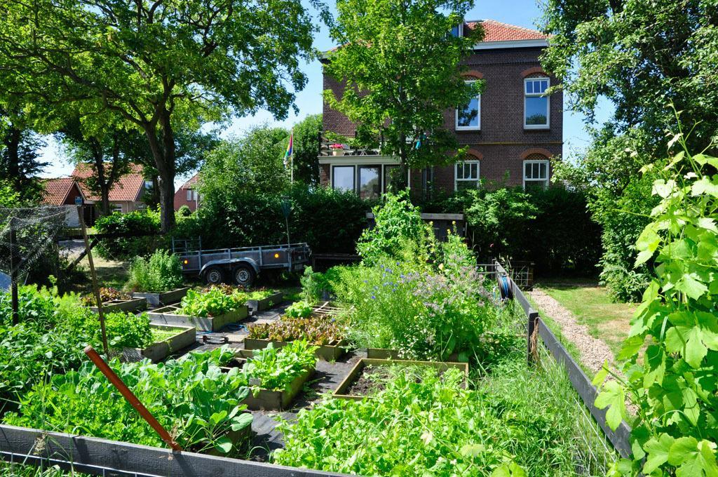 B&B De Postoari Terschelling Hoorn  Exteriér fotografie